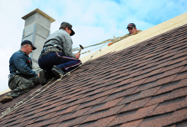Best Roof Maintenance Services  in Roseland, OH